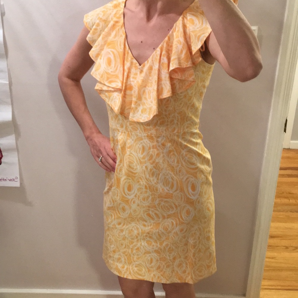 Cynthia Steffe Perfect Spring Dress